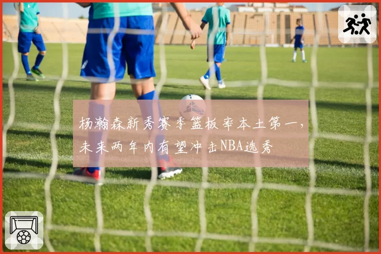 杨瀚森新秀赛季篮板率本土第一，未来两年内有望冲击NBA选秀