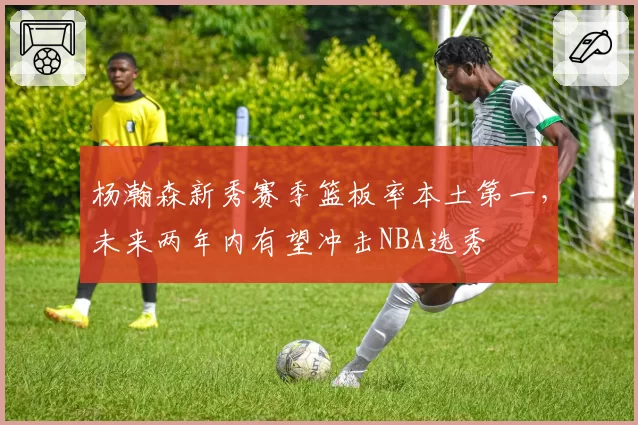 杨瀚森新秀赛季篮板率本土第一，未来两年内有望冲击NBA选秀