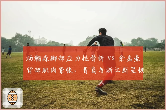 杨瀚森脚部应力性骨折 vs 余嘉豪背部肌肉紧张,青岛与浙江新星恢复周期与球队战术影响对比